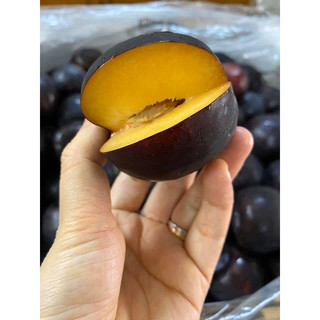 Cây Giống mận đen(CÂY GIỐNG NAM TÂY NGUYÊN)