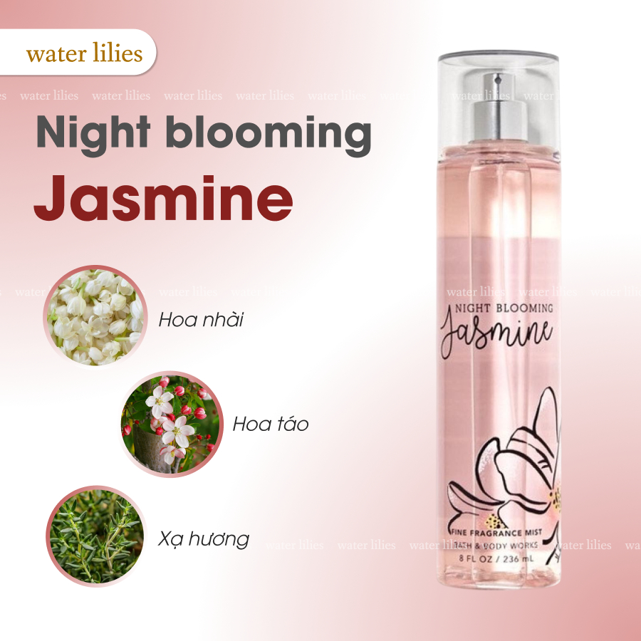 Xịt Thơm Bath And Body Works Night Blooming Jasmine