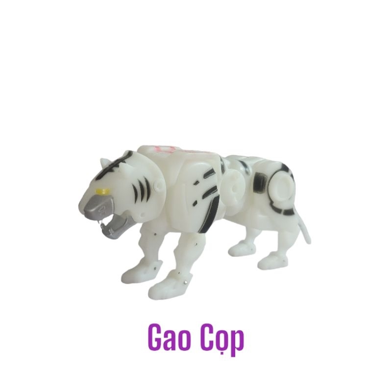 Gao Cọp Trắng