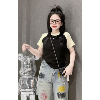 [ MÃ SALE LẺ MÀU VẢI ĐẸP - ĐƯỢC KIỂM HÀNG ] Áo thun nữ PHOM ÔM RAGLAN Trơn ( RAGLAN A.H )
