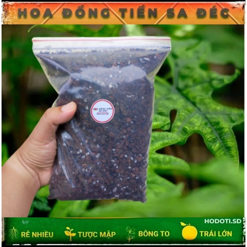 GIÁ THỂ TRỘN SẴN - 500 gram - kiểng lá / hoa lan / alocasia / caladium / philodendron / ( thoát nước chống úng cực tốt )
