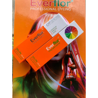 Thuốc Nhuộm Tóc Everflor 100ml (1)