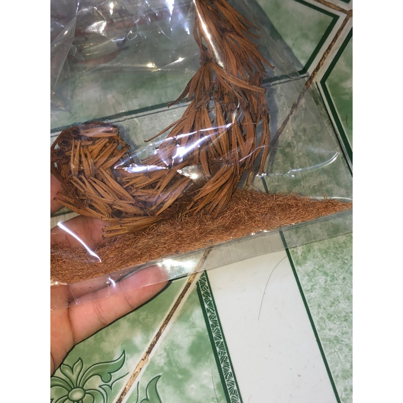 Hạt giống cây nắp ấm