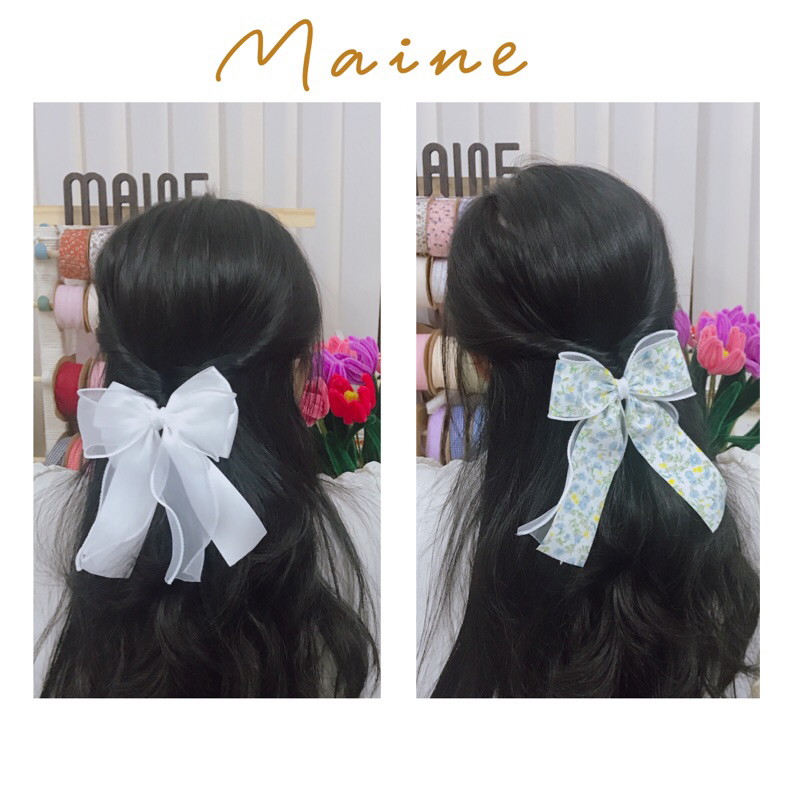 BST Mẫu Nơ Đặc Biệt Nhà Maine - Số lượng có hạn