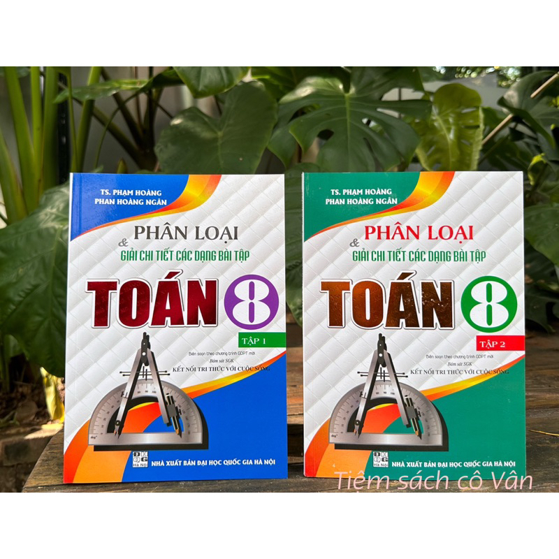 Sách - Phân loại và giải chi tiết các dạng bài tập Toán 8