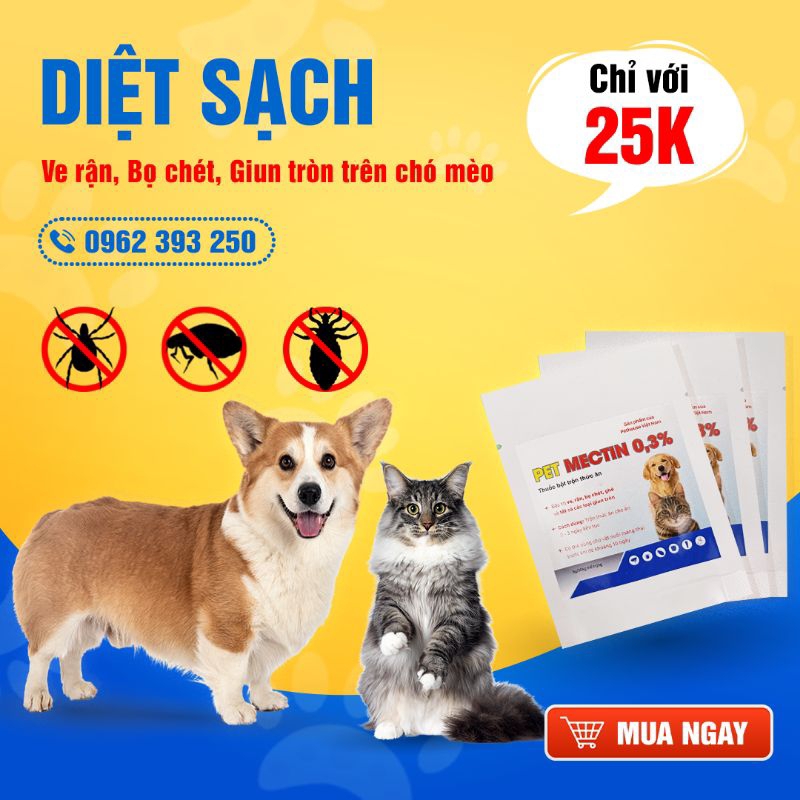 Gói ăn sạch ve bọ rận chó mèo