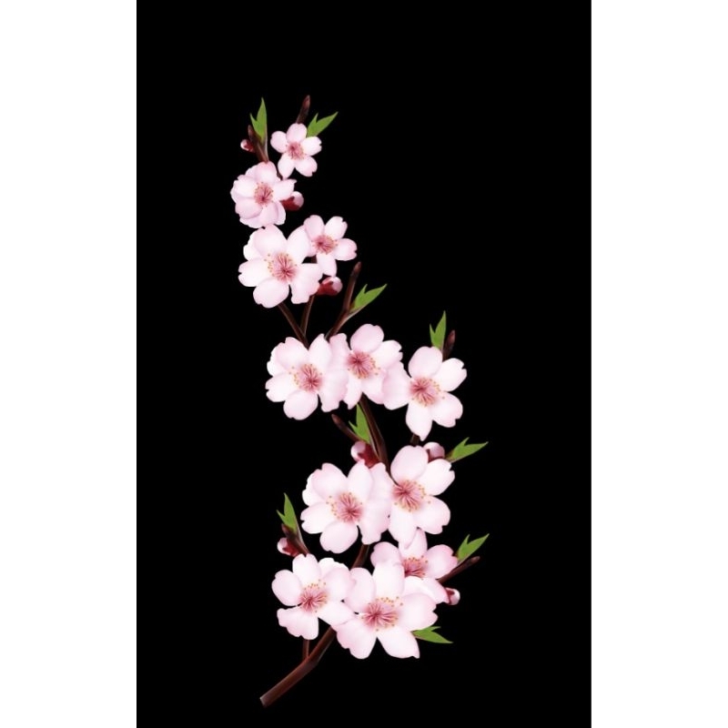 Hình ủi ép nhiệt, in áo. Mẫu Hoa lá HL7 in áo dài váy yếm cho mẹ và bé