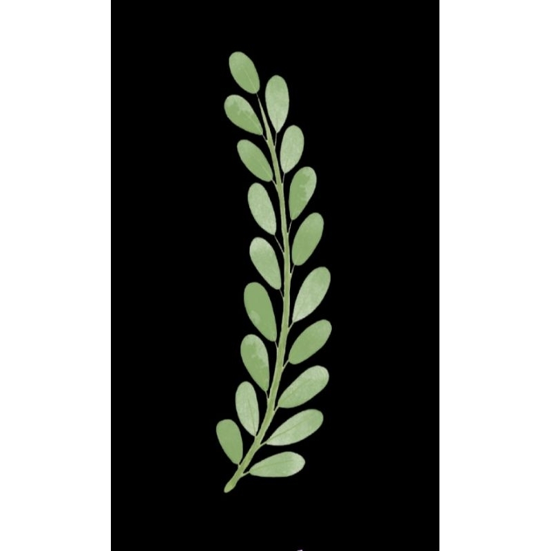 Hình ủi ép nhiệt, in áo. Mẫu Hoa lá HL7 in áo dài váy yếm cho mẹ và bé