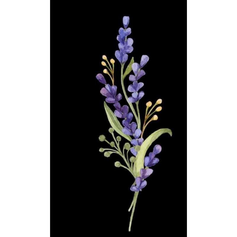 Hình ủi ép nhiệt, in áo. Mẫu Hoa lá HL7 in áo dài váy yếm cho mẹ và bé