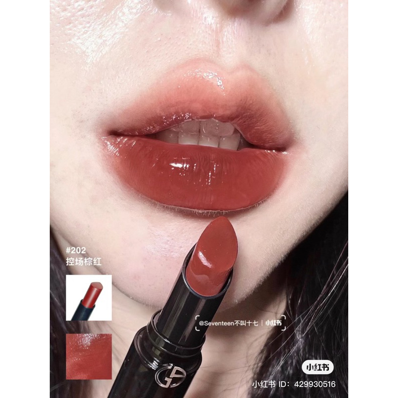 Son Giorgio Armani Lip Power 202