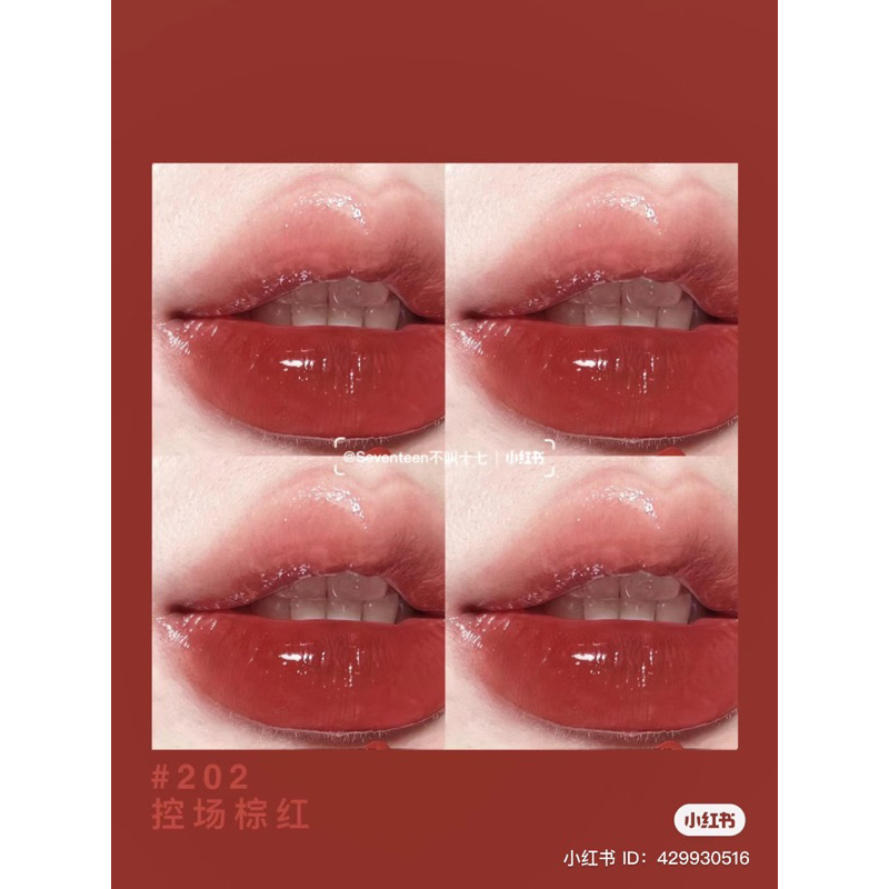 Son Giorgio Armani Lip Power 202