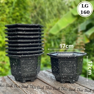   10 Cái  Chậu Nhựa Lục Giác 160  17x12  