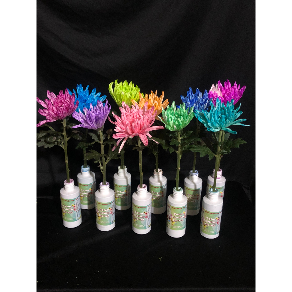 Thuốc nhuộm hoa tươi, màu nhuộm hoa chai 100MLđổi màu theo công nghê Israel, nước nhuộm hoa tươi lên chuẩn màu, tươi hoa