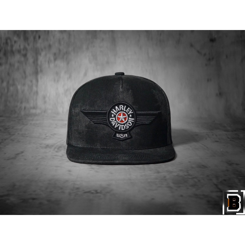 Mũ david haley snapback