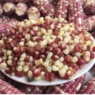 BẮP BUNG ĐIỆN BIÊN(1kg)-bắp nếp dẻo ngọt |Hàng sẵn giao ngay