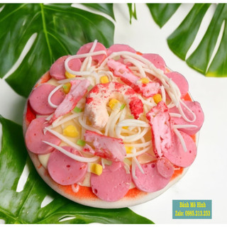Bánh pizza mô hình sz 25, 20 , 16, bánh pizza giả mô phỏng dạng pizza chưa nướng