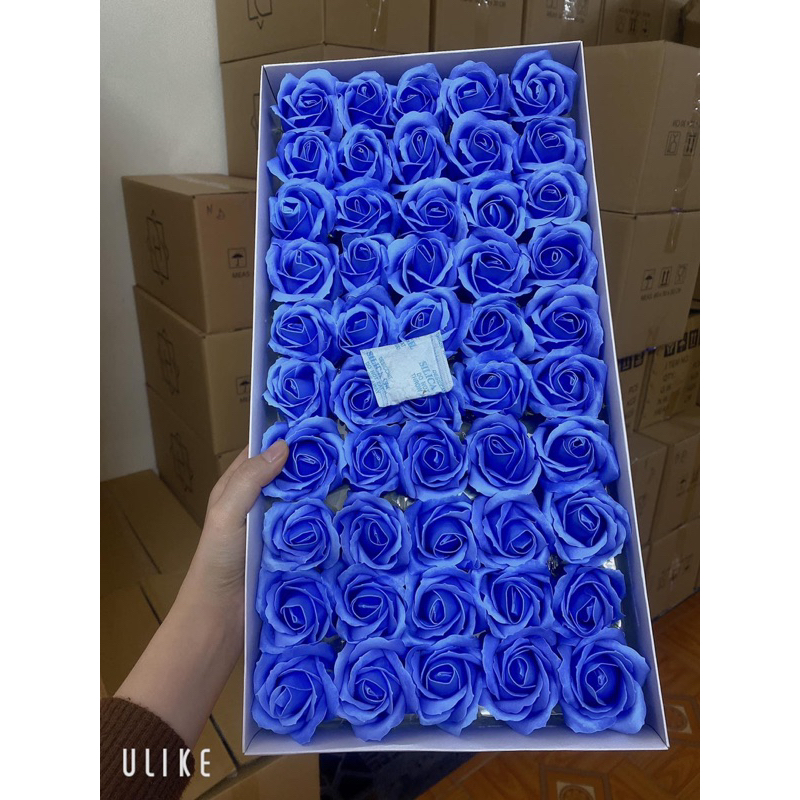 Sỉ Đầu bông hoa sáp