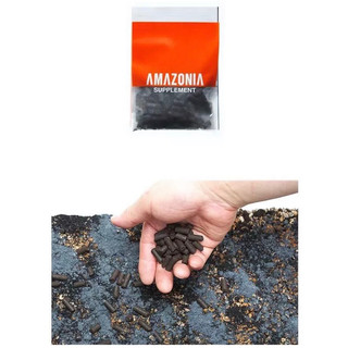 Cốt Nền Thủy Sinh ADA Supplement (ADA AMAZONIA SUPPLEMENT)
