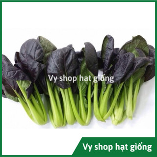 Hạt giống cải chip tím (cải thìa - purple pakchoi) gói 750 hạt