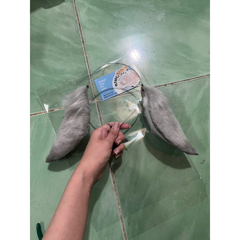 Tai cáo dáng cụp