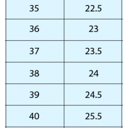 Giày thể thao Học Sinh Thêu Hoa Cúc Cao Cấp phối lưới thời trang Cho Nữ