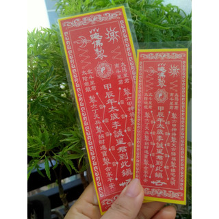 100 phù thái tuế 2024