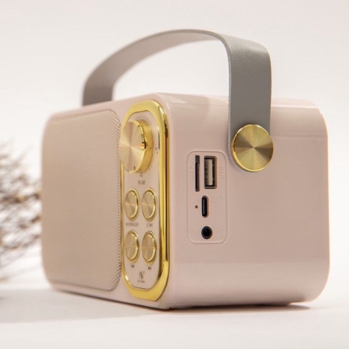 Loa Karaoke Bluetooth YS-103 Kèm 1 Micro Không Dây, Âm Thanh Siêu Hay, Sang Trọng Nhỏ Gọn Tiện Lợi - Leopold | BigBuy360 - bigbuy360.vn