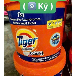 ++Bột giặt Tiger hương Downy TiGer mới , bột giặt paris - Thùng 9kg .