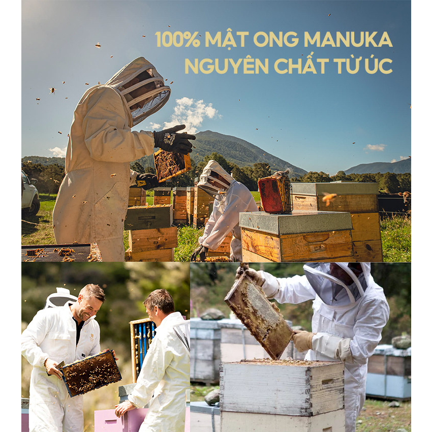 Mật Ong Manuka MGO 30+/ 1000gram - nguyên chất hoàn toàn tự nhiên, nhập khẩu chính hãng từ Úc
