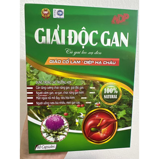 Giải độc gan từ Giảo cổ lam diệp hạ châu Cà gai leo xạ đen