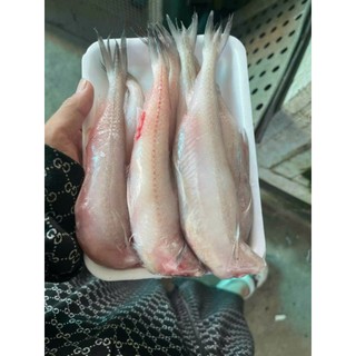Cá khoai tươi _ size lớn. khay 500g
