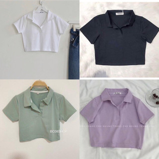 Áo croptop trơn from rộng tay ngắn cổ polo quanaophukien