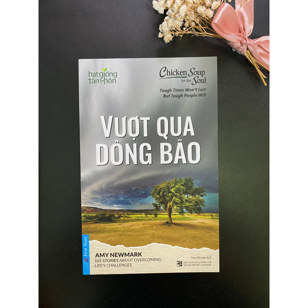 Sách - Vượt Qua Giông Bão ( Chicken Soup For The Soul )