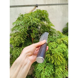 dao làm bếp thái thịt nhật cao cấp