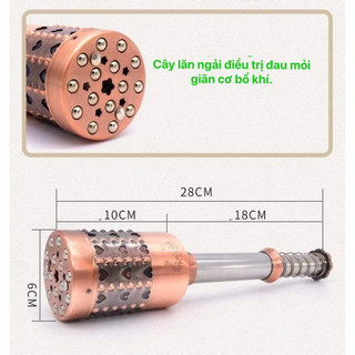 Con Lăn Ngải Cứu Đồng Đôi