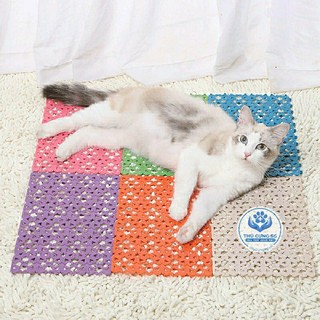 Lót chuồng bằng nhựa hoa văn size 20x30cm cho chó mèo