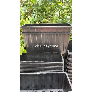 Combo 2 chậu nhựa chữ nhật cỡ lớn d63xr26xc30cm