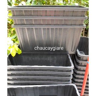 Combo 3 chậu chữ nhật trồng cây cỡ lớn D63xR26xC30cm