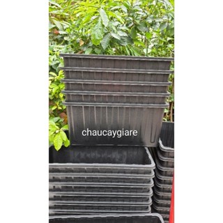 combo 5 chậu nhựa khay chữ nhật trồng cây loại dài và cao D63xR26xC30cm