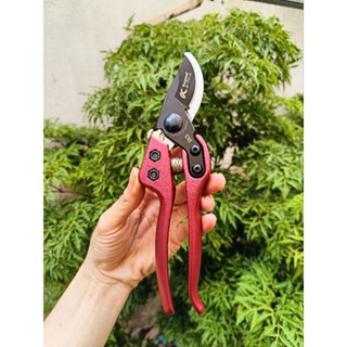 kéo cắt cành kapusi cao cấp màu tím hoặc vàng