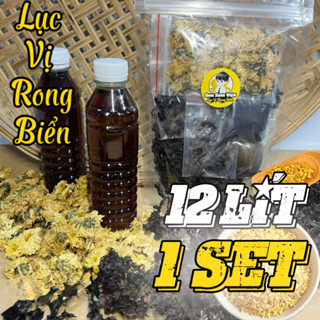 Set nước sâm rong biển bông cúc nấu 12 lít Anh Sinh Viên nguyên liệu trà thảo mộc 25 người uống