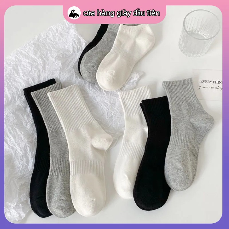 【Giao hàng trong ngày】Vớ mùa hè mới đơn giản, ba màu tùy chọn, vải thoải mái