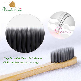 Bàn chải tre Pavicico size M