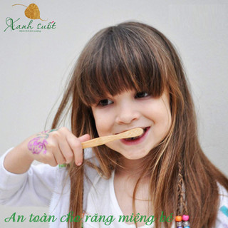 Bàn chải tre Pavicico size M