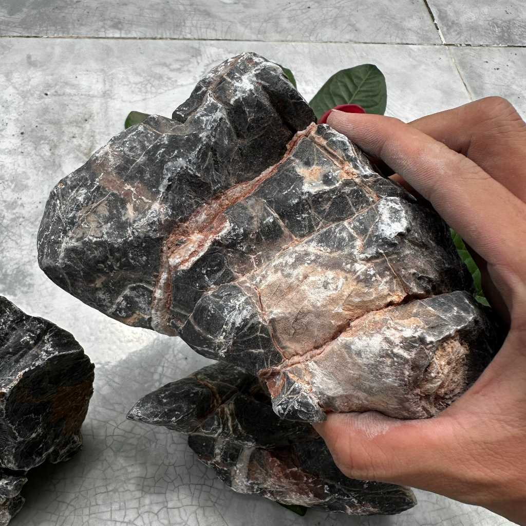 Đá kẹp kem thủy sinh