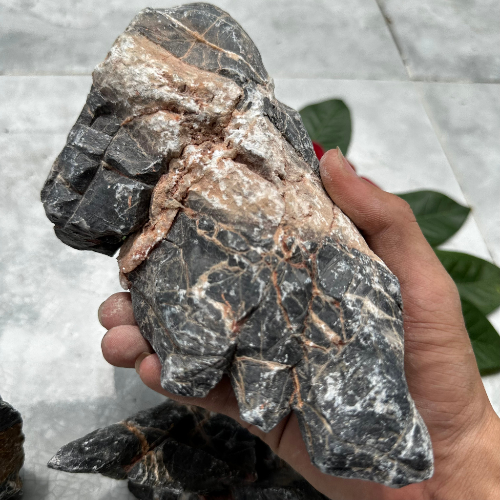 Đá kẹp kem thủy sinh