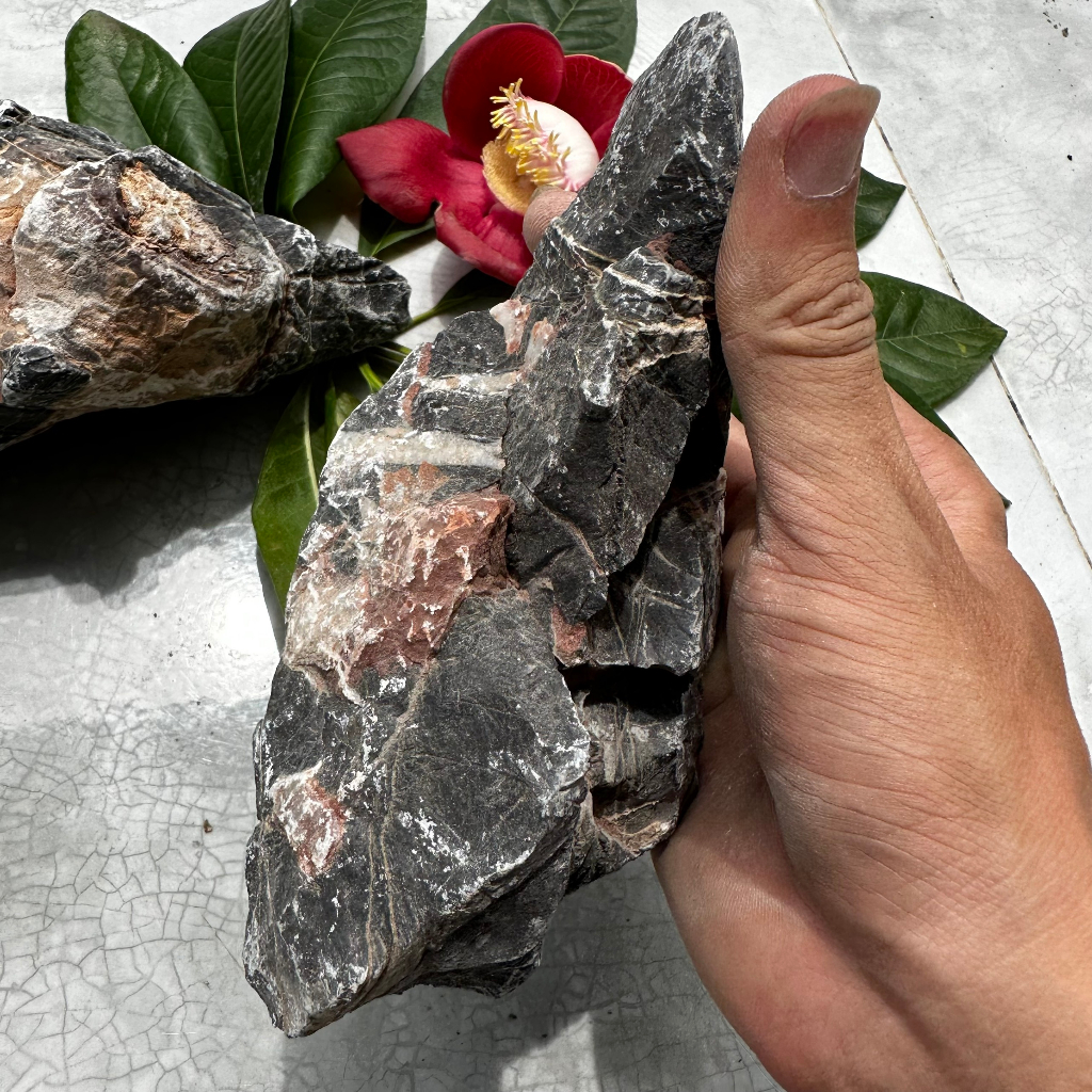 Đá kẹp kem thủy sinh