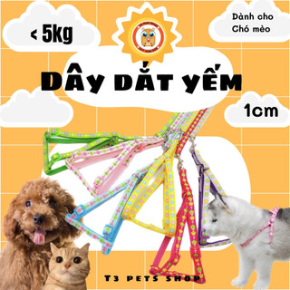 Dây dắt vòng cổ và dây dắt yếm cho chó mèo từ 1kg đến 12kg