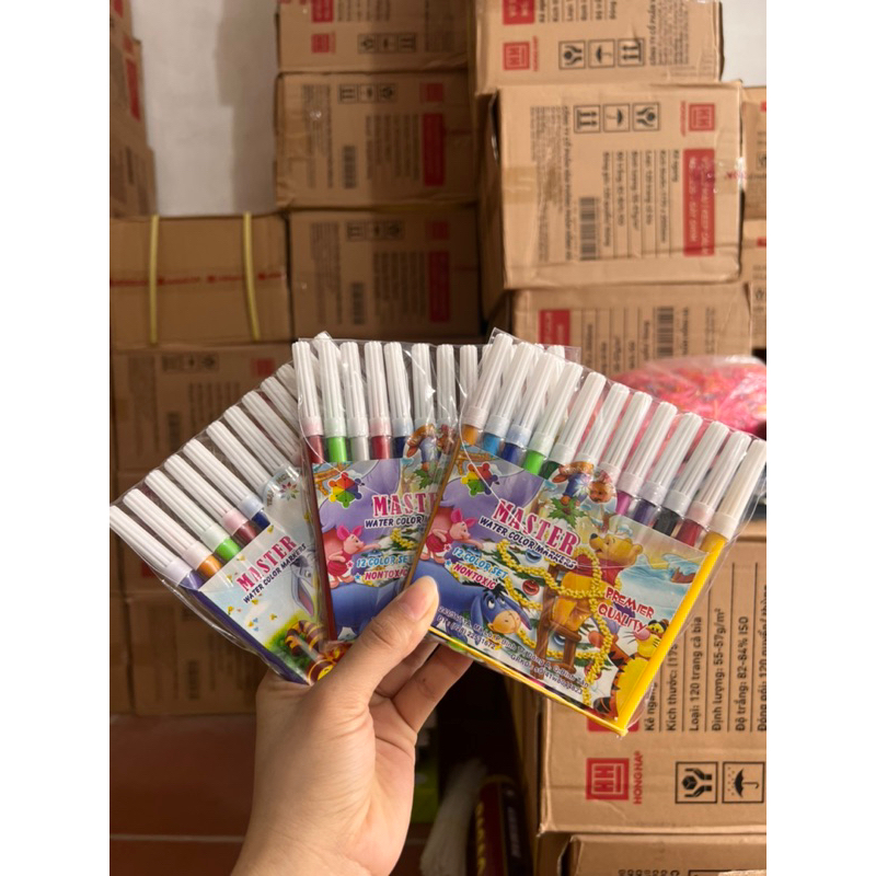 Bộ 12 bút lông màu vẽ viền hoặc tô màu master