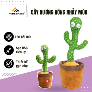 Cây xương rồng vui nhộn, cây xương rồng nhại tiếng, cây xương rồng nhảy múa, tặng kèm sạc _XR01